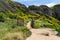 Trailhead at Point Dume in Malibu California leads up to a bluff overlook. Giant coreopsis Wildflowers all along the sandy trail