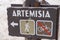 Trailhead sign for the Artemisia Geyser hiking trail in Yellowstone National Park