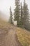 Trails going down mountain side at Greener Slopes Hurricane Ridge Olympic National Park