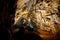 Trails inside the Postojna cave park. It is the second-longest cave system in the country. One of its top tourism sites. The caves