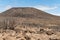 Trails on the uninhabited and exotic island of Lobos, very close to Fuerteventura