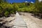 Trailway through the mangrove forest