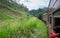 The train acrossing the Nine Arches Demodara Bridge,  Ella. Sri Lanka