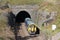 Train Blea Moor Tunnel on Settle to Carlisle line