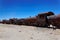 Train Boneyard, Salar de Uyuni, Bolivia, South America