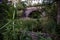 Train brigde over river in the middle of forest