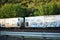 Train cars covered with graffiti