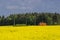 TRAIN, FIELD OF AND FOREST