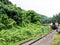 Train going through the jungle in Chiang Mai