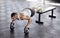 Train insane or remain the same. Full length shot of a young man working out in the gym.