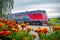 Train locomotive standing at the station on the background of a flower bed.