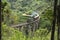 Train on the nine arche bridge, Ella, Sri Lanka