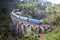 Train on the Nine Arches Demodara Bridge or the Bridge in the sky. Located in Demodara near Ella city, Sri Lanka.