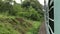 Train passing through forest the tropical forest of india