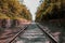 Train railroad in South Korea. Abandoned railway surrounded with trees