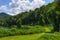 Train Ride Through Nantahala National Forest