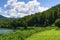 Train Ride Through Nantahala National Forest