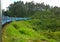 Train among the tea plantations