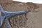 Train to the clouds in Salta Province, Argentina