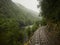 Train Track through Alongside the King River Tasmania