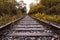 Train track in autumn