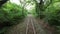 Train track going through a dense forest