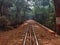 Train Track natural Landscape Solitude Matheran Maharashtra India