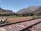 Train tracks with distant trees