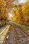 Train tracks in fall