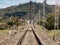 Train tracks are lost in the background under the electrified wires of the catenary