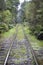 Train tracks in New Zealand Bush