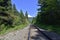 Train Tracks at Rainbow Park in Whistler, British Columbia, Canada