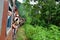 Train traveling through the jungle, in SrÃ­ Lanka