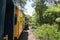 Train travelling through the jungle in Puerto Limon, Costa Rica, Central America