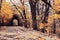 Train tunnels and railways in forest. Beautiful autumn landscape with a tunnel and a railway