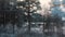 Train view from the window movement winter snow forest village houses in the snow. winter forest through the window of