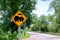 Train warning sign, railway crossing in the countryside