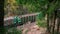 Train with wooden load moving through amazing green forest on autumn day spbas.