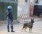 trained police dog chasing drug dealers and concealed explosives