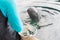 A trainer feeding raw small fish for dolphin.