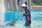 Trainer giving order to the dolphin