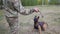 A trainer prepares to throw a stick to a trained german shepherd dog