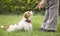 Trainer teaching dog to sit in the grass, pet training concept