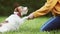 Trainer teaching her dog to giving paw and shaking hand