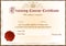 Training Certificate