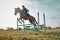 Training, competition and woman on a horse for sports, an event or show on a field in Norway. Jump, action and girl