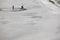 Training a horse on a sand beach. Equestrian sport. Faroe