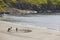 Training a horse on a sand beach. Equestrian sport. Faroe