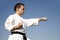 Training of karate champion - kata