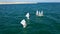 Training with optimist dinghy sailing boats near the Real Club Nautico de Valencia, Spain.